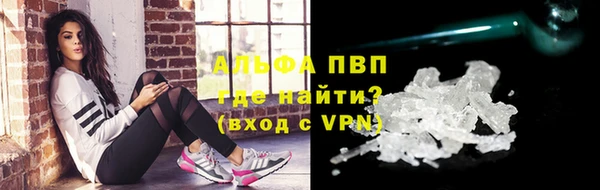 мдпв Гусь-Хрустальный