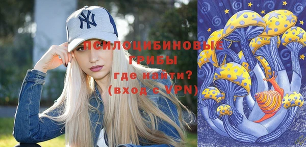 мдпв Гусь-Хрустальный