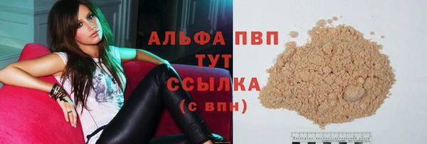 дживик Гусев
