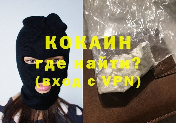 дживик Гусев