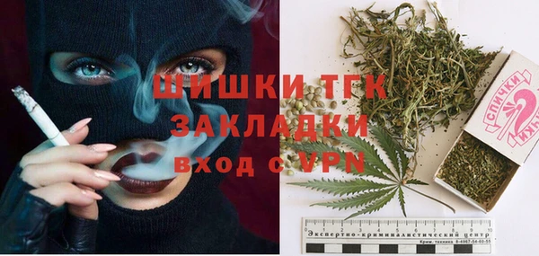 мдпв Гусь-Хрустальный