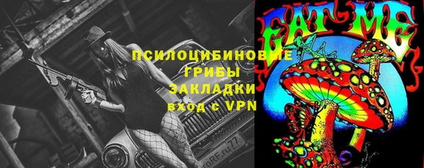 мдпв Гусь-Хрустальный
