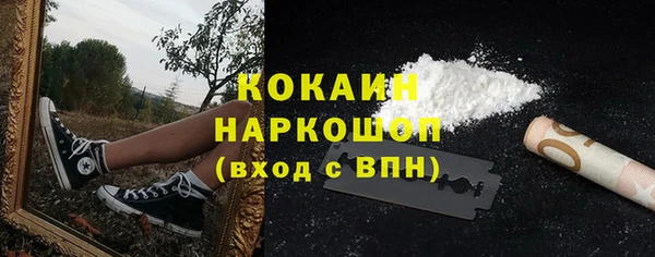 дживик Гусев