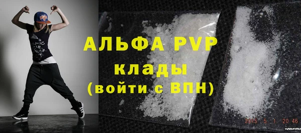 мдпв Гусь-Хрустальный